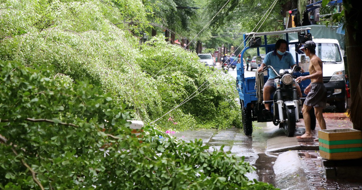 TP.HCM bất ngờ xuất hiện dông lốc quật đổ cây xanh, đề phòng thời tiết chuyển xấu