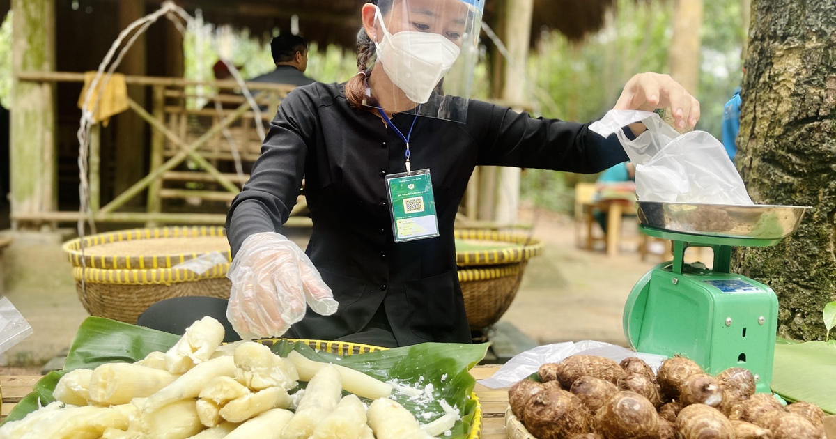 Nghỉ lễ 2.9, về Củ Chi ăn khoai mì, rau móp,... trong ngày hội ẩm thực