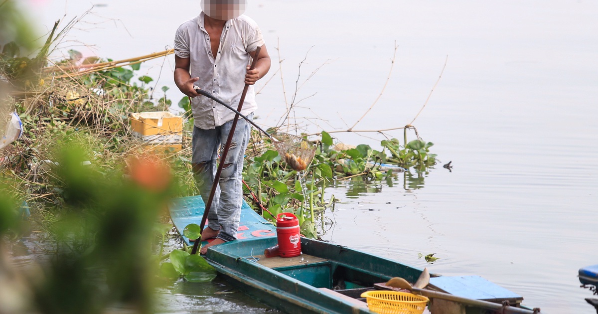 Phóng sinh bi hài: ‘Nghe tiếng kinh kệ, có người đã giăng lưới chờ sẵn’