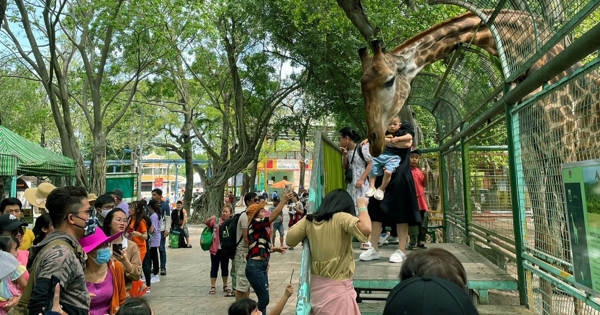 Nghỉ Tết Quý Mão, người dân TP.HCM đã đi chơi những đâu?