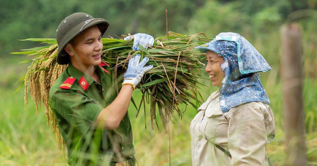 12 đội hình tham gia các hoạt động tình nguyện tại Đảo thanh niên