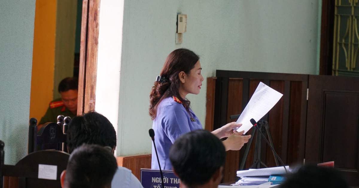 Tranh luận nảy lửa vụ án cưa cây gỗ khô, 5 người thành ăn trộm