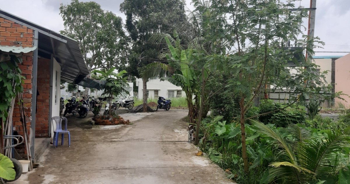 Cần Thơ: Truy tố nguyên Phó chủ tịch UBND Q.Bình Thủy và 6 thuộc cấp