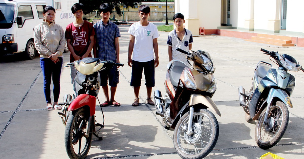 Triệt phá 2 băng trộm xe máy mang sang Campuchia tiêu thụ