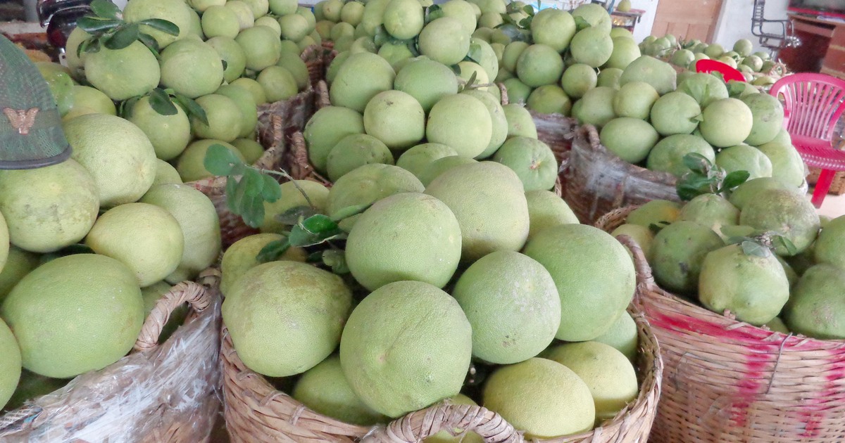 Hậu Giang khuyến khích đầu tư vào nông nghiệp, nông thôn