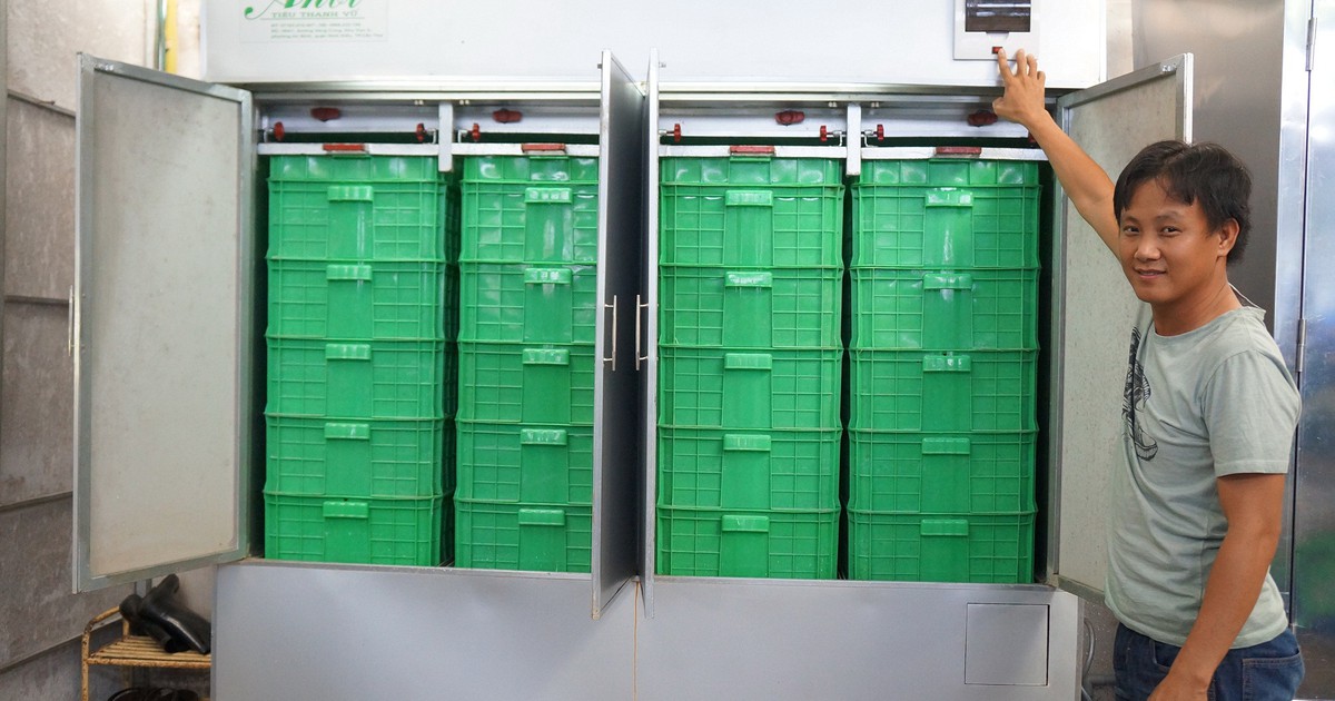 Sáng tạo trẻ: Máy làm giá tự động