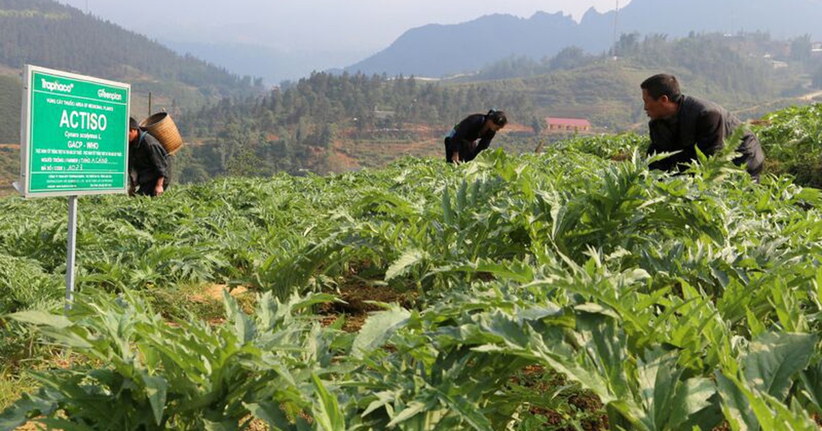 Khẳng định vị thế của sản phẩm thương hiệu Việt