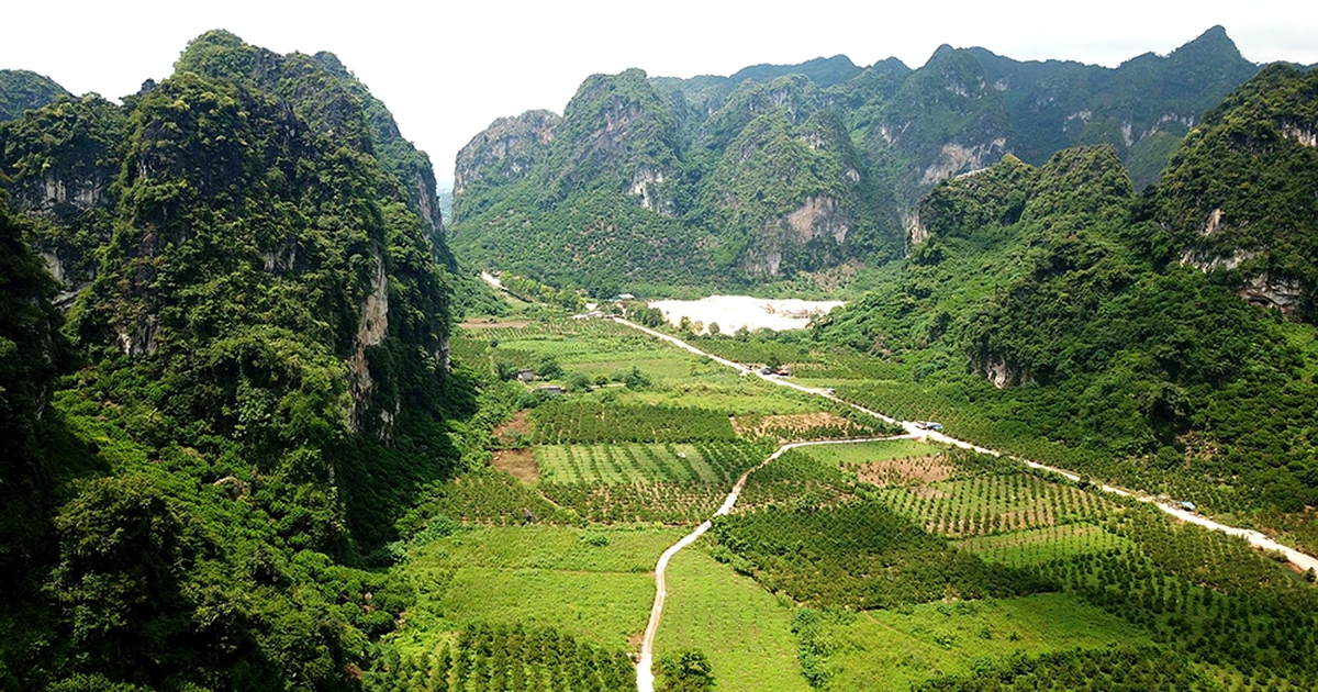 Ngoạn mục xem cảnh hái na từ trên núi Chi Lăng, chuyển bằng cáp treo