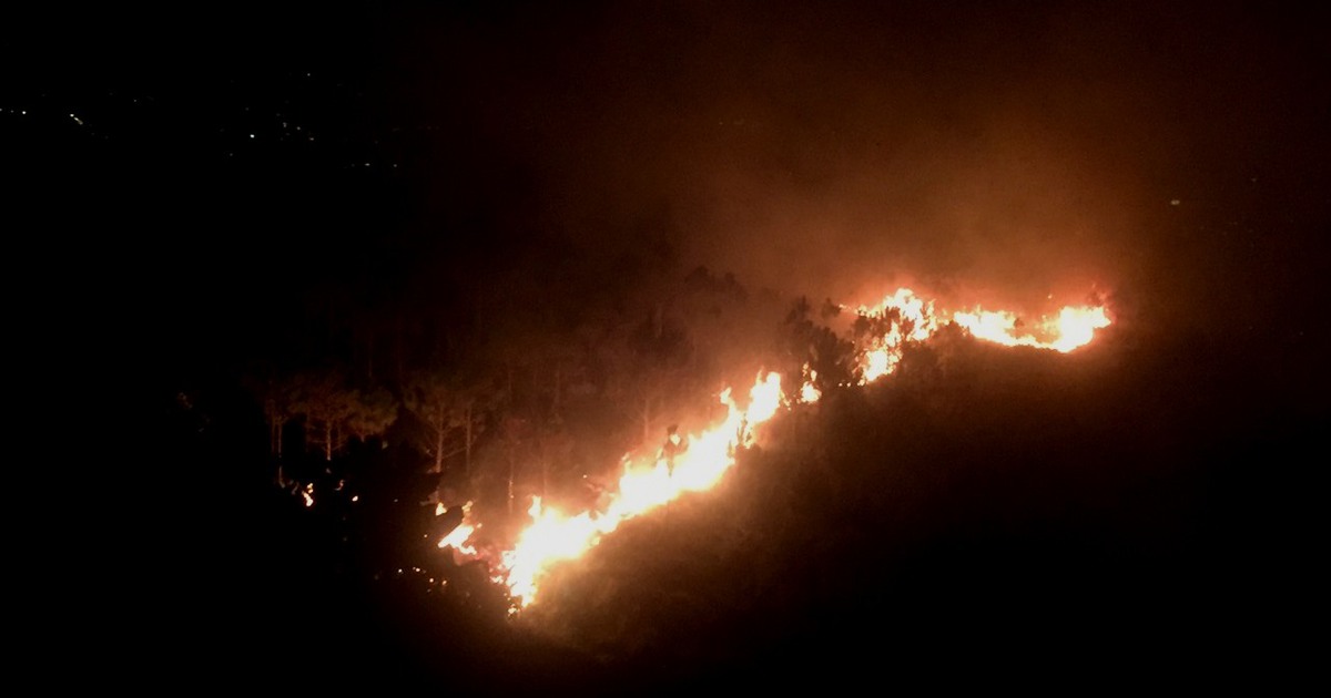 Lâm Đồng: Vụ cháy lớn trên núi Đại Bình đang ngày càng lan rộng