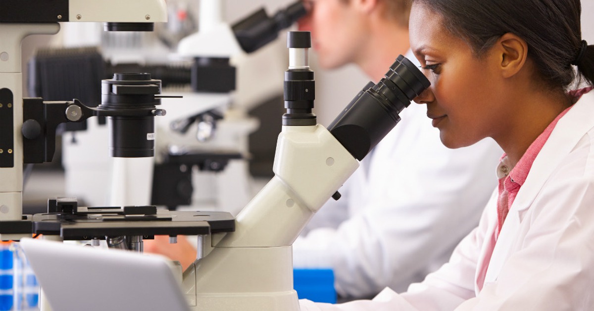 Canada chi đậm để trường đại học thu hút người tài