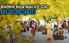 Đường hoa mai vô cực vừa mở cửa đã gây sốt, hẻm nhỏ 'chơi lớn' trang hoàng tết