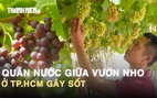 Quán nước giữa vườn nho ở TP.HCM gây sốt