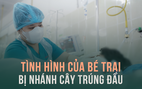 Tình hình hiện tại của bé trai bị nhánh cây gãy rơi trúng đầu