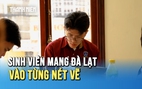 Sinh viên ngành Thiết kế đồ họa - Trường ĐH Nguyễn Tất Thành: Mang Đà Lạt vào từng nét vẽ