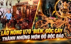 Độc lạ: Lão nông U70 ‘biến’ gốc cây thành những món đồ có một không hai