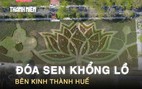 Chiêm ngưỡng đóa sen khổng lồ từ 50.000 chậu hoa rực rỡ bên kinh thành Huế