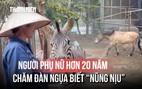 Người phụ nữ hơn 20 năm chăm đàn ngựa biết 'nũng nịu'