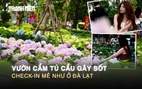 Vườn cẩm tú cầu gây sốt ở trung tâm TP.HCM, check-in mê như ở Đà Lạt