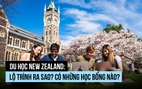 Du học New Zealand: Lộ trình ra sao? Có những học bổng nào?