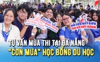 Cơn mưa học bổng tại Tư vấn mùa thi 2026: Mở rộng cánh cửa du học cho học sinh Đà Nẵng