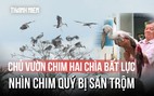 Lão nông 80 tuổi bất lực nhìn chim quý ở Vườn chim Hai Chìa bị săn trộm