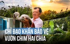 Vụ chủ vườn chim Hai Chìa kêu cứu: Chủ tịch UBND tỉnh Vĩnh Long chỉ đạo khẩn