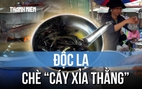 Chè 'Cáy xỉa thằng': Món ngon người Hoa mỗi tháng chỉ bán 2 ngày