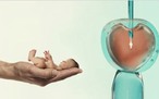 Bệnh viện gây phẫn nộ vì cấy nhầm phôi thai khi thụ tinh nhân tạo
