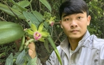 Lạ kỳ hoa cỏ quanh ta: 'Giấy khai sinh' viết bằng máu