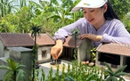 Vợ chồng trẻ thu nhỏ những ngôi nhà cổ gây chú ý