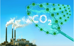 Chỉ 3 ngày nữa Việt Nam sẽ khai trương sàn giao dịch carbon