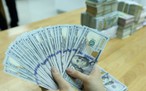 Giá USD hôm nay 30.6.2026: Đô tự do quay đầu giảm