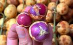 Nhiều người lần đầu thấy trái dâu da ruột tím giá 120.000 đồng/kg: Hương vị thế nào?