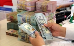 Giá USD hôm nay 26.9.2026: Đồng loạt giảm trong và ngoài nước