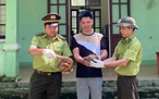Thuyết phục người dân nhượng lại để giải cứu 2 con tê tê quý hiếm
