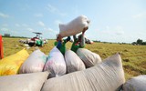 Thái Lan thừa nhận giá gạo tăng vọt là… ‘nhờ’ Việt Nam