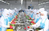 Thêm 23 doanh nghiệp được Trung Quốc chấp thuận xuất khẩu thủy sản