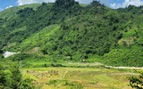 Reuters: Việt Nam sẽ khởi động lại mỏ đất hiếm vào năm tới