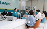 Chi nhánh ABBank nợ xấu gần 10%, giám sát vốn vay chưa chặt