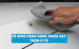 Cách loại bỏ phân chim, nhựa cây trên lớp sơn ô tô