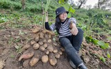 Nữ TikToker triệu view giúp bà con Tây Bắc tiêu thụ nông sản