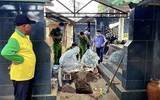 Khai quật bào thai để điều tra vụ bé gái 13 tuổi bị hiếp dâm