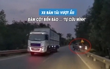 Vượt ẩu bất thành, xe bán tải tông gãy cột biển báo... 'tự cứu mình'