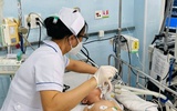 Bệnh tay chân miệng tăng nhanh, Việt Nam kỳ vọng 'vũ khí' mới từ vắc xin EV71