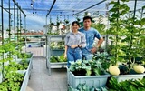 Mua nhà có sân thượng, gia đình trẻ ở TP.HCM 'nhập môn' trồng rau sạch
