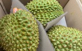 Trung Quốc phối hợp gỡ khó xuất khẩu sầu riêng Việt Nam