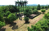 Cận cảnh lăng mộ vua Lê Túc Tông