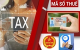 Cục Thuế hướng dẫn chi tiết dùng số định danh thay mã số thuế