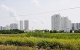 TP.HCM rà soát thu hồi dự án chậm đưa đất vào sử dụng