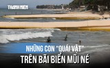 Vì sao xuất hiện những con 'quái vật' trên bãi biển Mũi Né?
